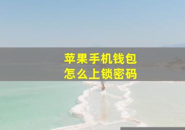 苹果手机钱包怎么上锁密码