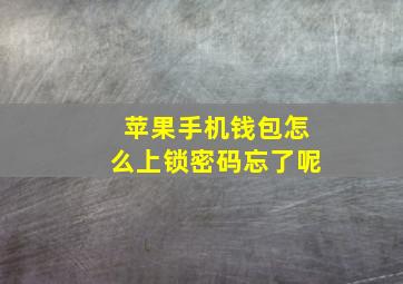 苹果手机钱包怎么上锁密码忘了呢