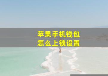 苹果手机钱包怎么上锁设置