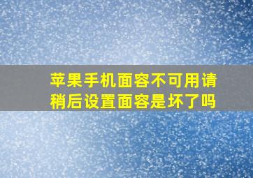 苹果手机面容不可用请稍后设置面容是坏了吗