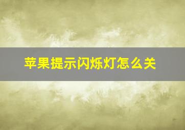 苹果提示闪烁灯怎么关