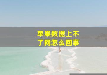 苹果数据上不了网怎么回事