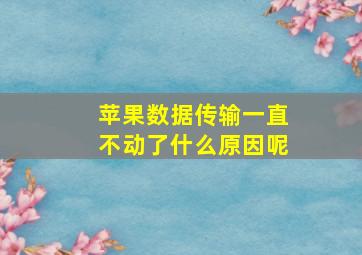 苹果数据传输一直不动了什么原因呢