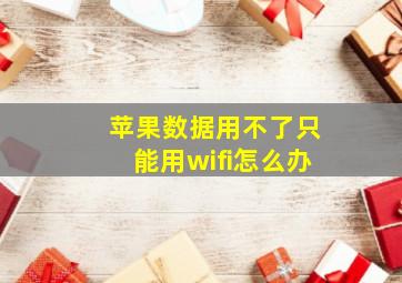 苹果数据用不了只能用wifi怎么办