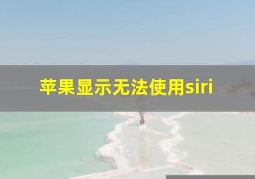 苹果显示无法使用siri