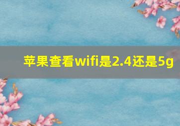 苹果查看wifi是2.4还是5g