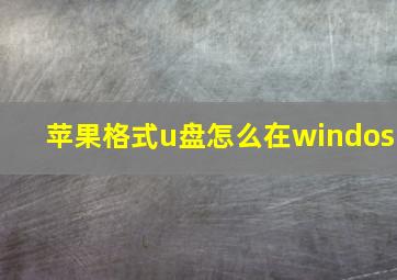 苹果格式u盘怎么在windos