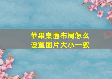 苹果桌面布局怎么设置图片大小一致