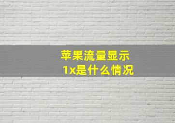 苹果流量显示1x是什么情况