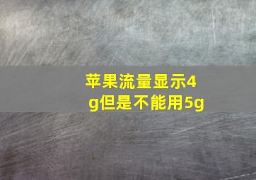 苹果流量显示4g但是不能用5g