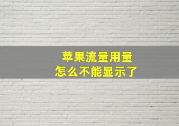 苹果流量用量怎么不能显示了