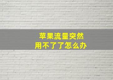 苹果流量突然用不了了怎么办