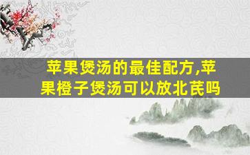 苹果煲汤的最佳配方,苹果橙子煲汤可以放北芪吗