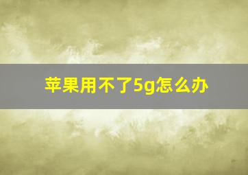 苹果用不了5g怎么办