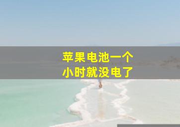 苹果电池一个小时就没电了