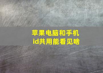 苹果电脑和手机id共用能看见啥