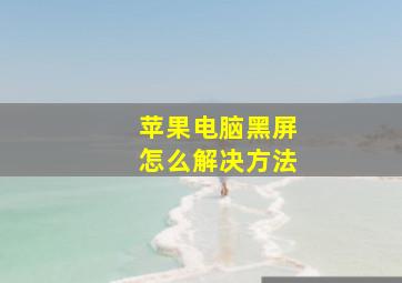 苹果电脑黑屏怎么解决方法