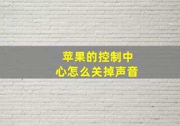 苹果的控制中心怎么关掉声音