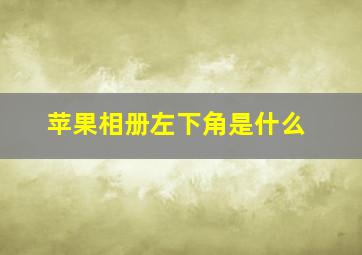 苹果相册左下角是什么