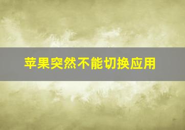 苹果突然不能切换应用