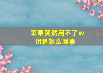 苹果突然用不了wifi是怎么回事