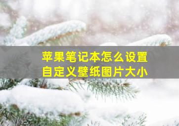 苹果笔记本怎么设置自定义壁纸图片大小