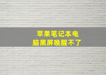 苹果笔记本电脑黑屏唤醒不了