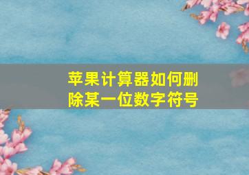 苹果计算器如何删除某一位数字符号