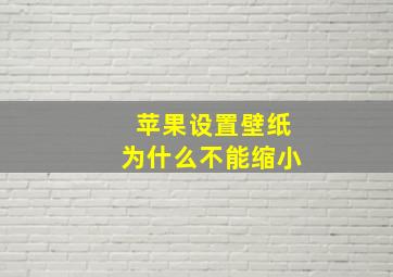 苹果设置壁纸为什么不能缩小