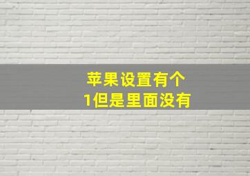 苹果设置有个1但是里面没有