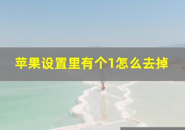 苹果设置里有个1怎么去掉