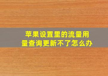 苹果设置里的流量用量查询更新不了怎么办