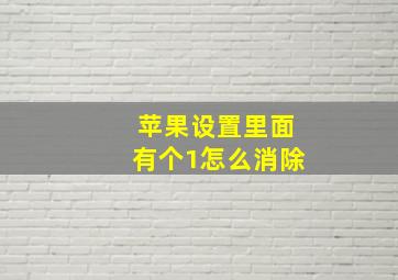 苹果设置里面有个1怎么消除