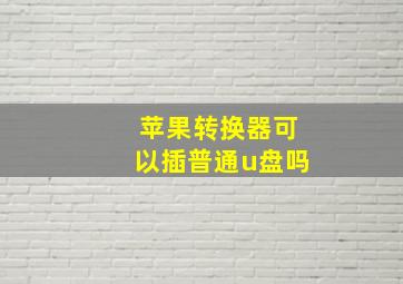 苹果转换器可以插普通u盘吗