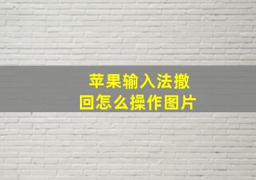 苹果输入法撤回怎么操作图片