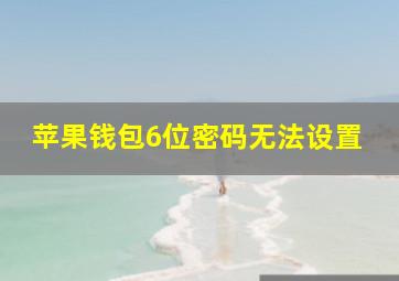 苹果钱包6位密码无法设置