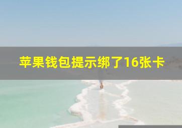 苹果钱包提示绑了16张卡