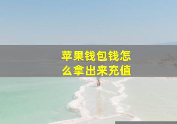 苹果钱包钱怎么拿出来充值