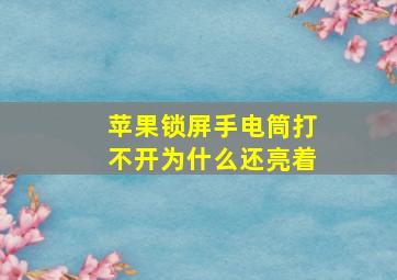 苹果锁屏手电筒打不开为什么还亮着