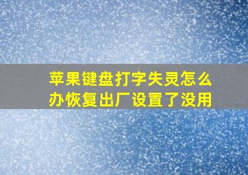 苹果键盘打字失灵怎么办恢复出厂设置了没用