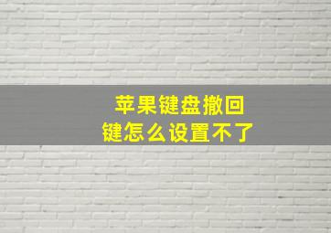 苹果键盘撤回键怎么设置不了