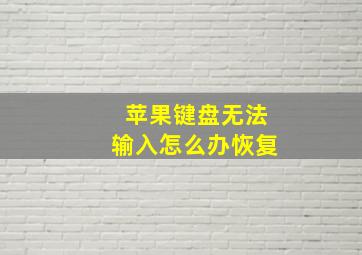 苹果键盘无法输入怎么办恢复