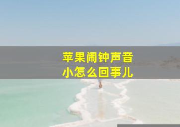 苹果闹钟声音小怎么回事儿