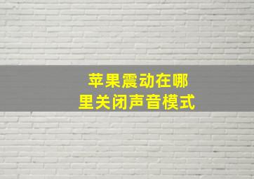 苹果震动在哪里关闭声音模式