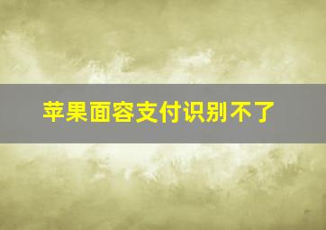 苹果面容支付识别不了