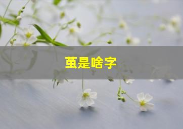 茧是啥字