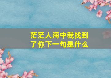 茫茫人海中我找到了你下一句是什么