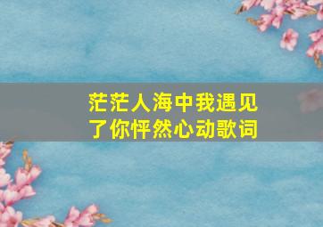 茫茫人海中我遇见了你怦然心动歌词