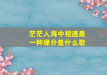 茫茫人海中相遇是一种缘分是什么歌