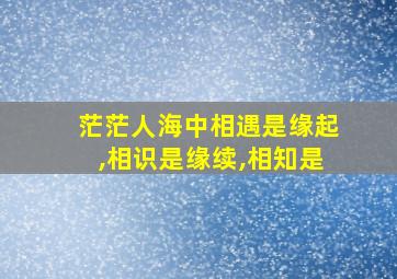 茫茫人海中相遇是缘起,相识是缘续,相知是